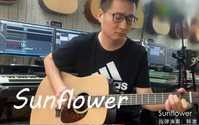 Sunflower指弹谱_孙培博_吉他独奏谱_指弹示范视频