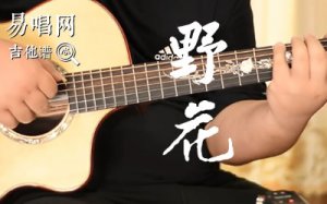 野花吉他谱_田震_A调弹唱谱_吉他教学视频