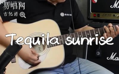Tequila Sunrise吉他谱_老鹰乐队_G调_弹唱教学视频